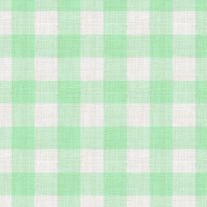 Distressed Woven Pastel Mint Green Large Checkered Buffalo Plaid Giant Gingham Nursery Boys Country Ivory