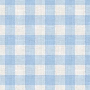 Distressed Woven Baby Blue Large Checkered Buffalo Plaid Giant Gingham Nursery Boys Country Ivory