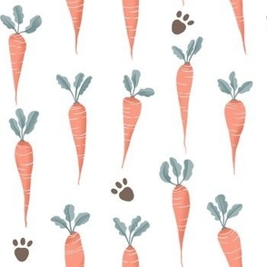 Orange carrots and brown footprints Easter bunny visit