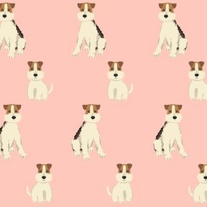 fox terrier on coral pink background