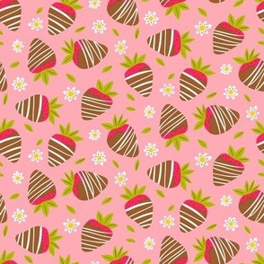 Chocolate Covered Strawberries and Chamomile on a Pink Background