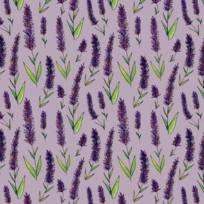 Lavender Watercolor - Purple