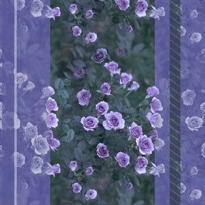 6x4-Inch Repeat of Decorative Stripes of Veranda Roses in Amethyst