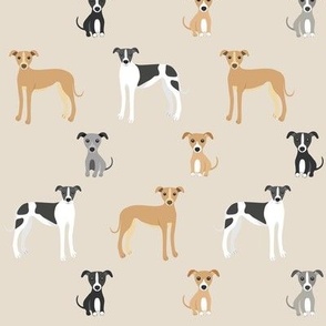 lurcher|whippet on beige