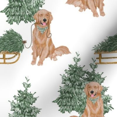 Golden Retriever Christmas Pine Trees - 8” x 8"