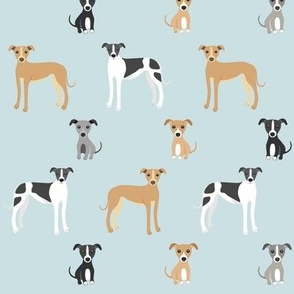 lurcher|whippet on pale blue