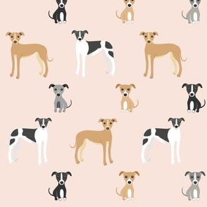 lurcher|whippet on pale pink