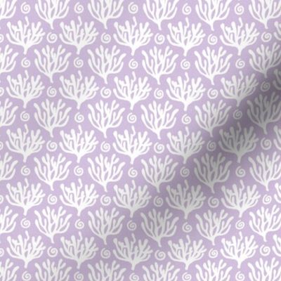coral reef two color bleached 1 one inch coral branch underwater ocean sea island beach light purple lavender white pale violet wallpaper accessories home decor