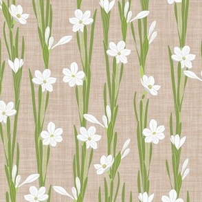 S. Hand drawn daffodil blooming plants | white flowers on textured beige, small scale