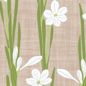 M. Hand drawn daffodil blooming plants | white flowers on textured beige, medium scale