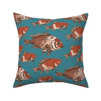 Koi Carp in Brown and Red