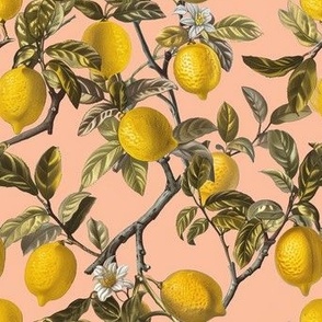 Rococo Lemon Tree