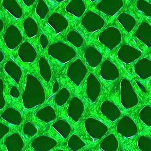 abstract geometric green monochrome net L