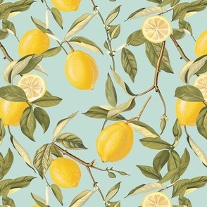 Bright Spring Lemons