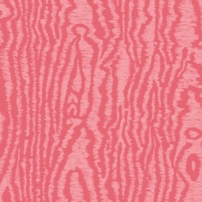 Moire Texture (Large) - Cactus Flower Pink  (TBS101A)