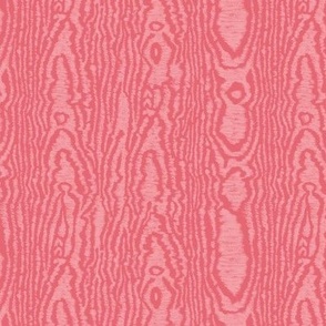 Moire Texture (Medium) - Cactus Flower Pink  (TBS101A)