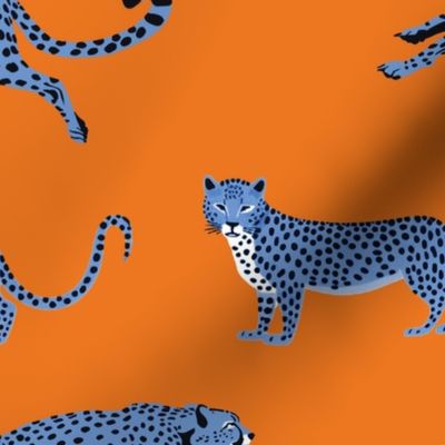 Cheetah Cha Cha - Blue on Orange
