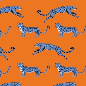 Cheetah Cha Cha - Blue on Orange