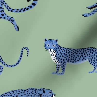 Cheetah Cha Cha - Blue on  Pale Moss