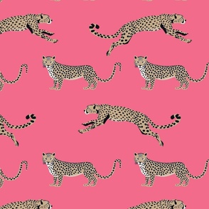 Cheetah Cha Cha - Sepia on Rouge Pink