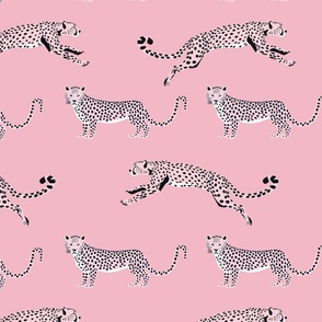 Cheetah Cha Cha - Crepe Pink