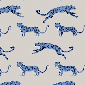 Cheetah Cha Cha - Blue on  Warm Gray