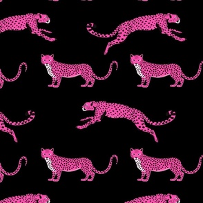 Cheetah Cha Cha - Hot Pink on Black
