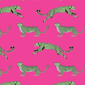 Cheetah Cha Cha - Green on Hot Pink