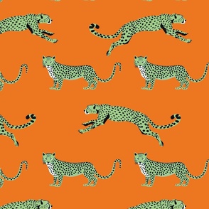 Cheetah Cha Cha - Green on Orange