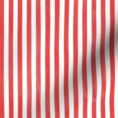 Painted Christmas Stripe - Candy Cane Red & White 