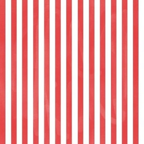 Painted Christmas Stripe - Candy Cane Red & White 