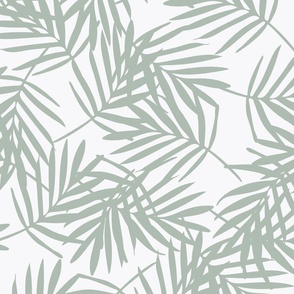Medium / Tropical Fronds - Sage Green - Palm Leaf - Palm Leaves - Palm Tree - Caribbean - Minimalist - Nature