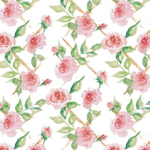 Watercolour rose trellis