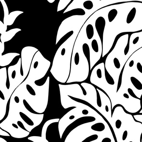 jumbo-Monstera Jungle Silhouette-reverse white leaves  on black