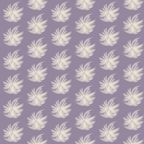 Feathered starfish lavender