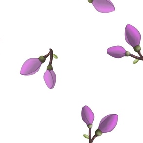 Magnolia Buds png