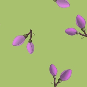 Magnolia Buds on Muted Green