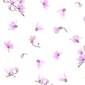 Magnolia Spray png