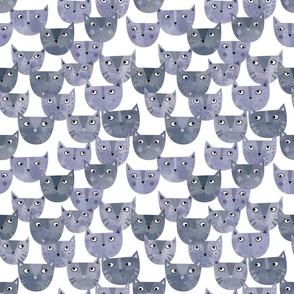 Kitty Cat Power Gray