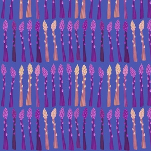 Purple pink sprouting asparagus on deep blue (medium) 