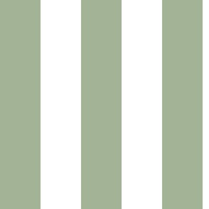 Broad Stripe Sage (M)