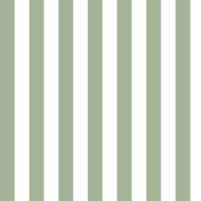 Broad Stripe Sage (S)