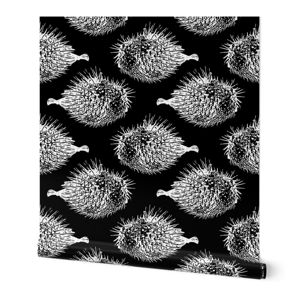 spikey blowfish white on black 