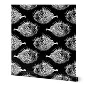 spikey blowfish white on black 