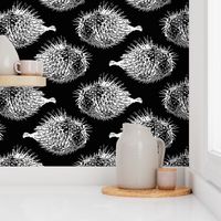 spikey blowfish white on black 