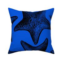 starfish grid_black on classic blue