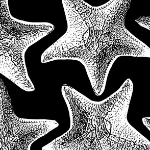 starfish grid_white on black