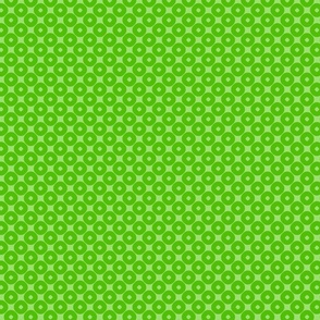 LIme coordinate