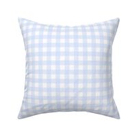 Blue plaid gingham grandmillennial preppy