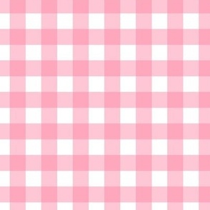 Strawberry shortcake gingham plaid